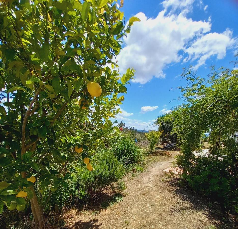 Colos  Vale De Garcia Al 5357ヴィラ エクステリア 写真